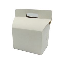 CAJA PAPAS FRITAS BLANCA 03