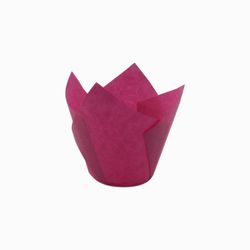 TULIPS FUCSIA 715050PAW