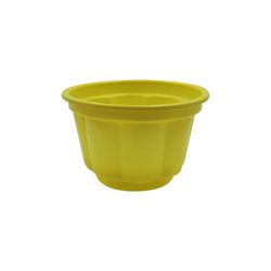 POTE GELATINERO COLOR S.G.